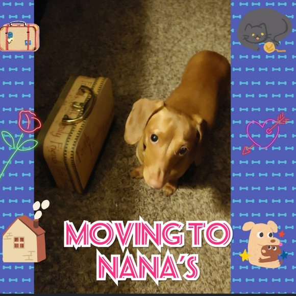 Meet your Posher, Tabatha - Picture 7 of 10